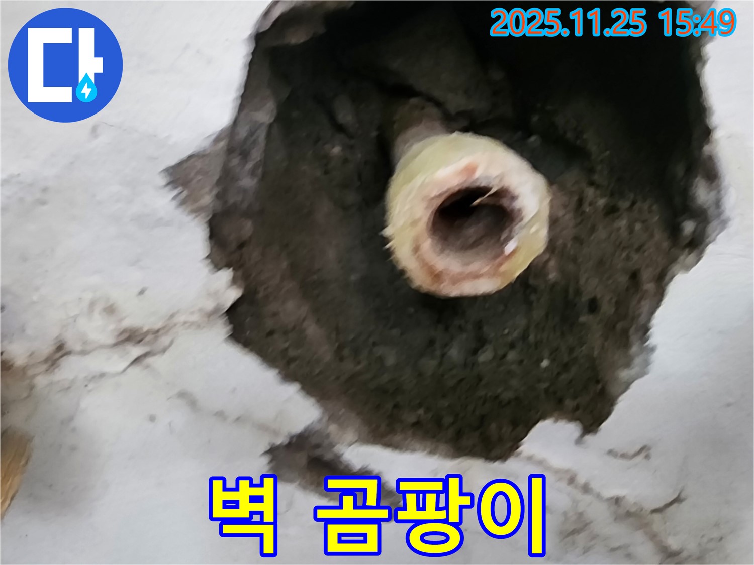 벽 곰팡이 - 누수의 결과