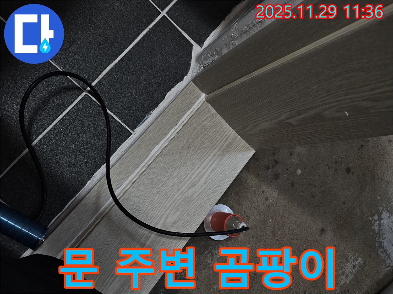 문 주변 곰팡이 - 누수 의심, 전문가 진단