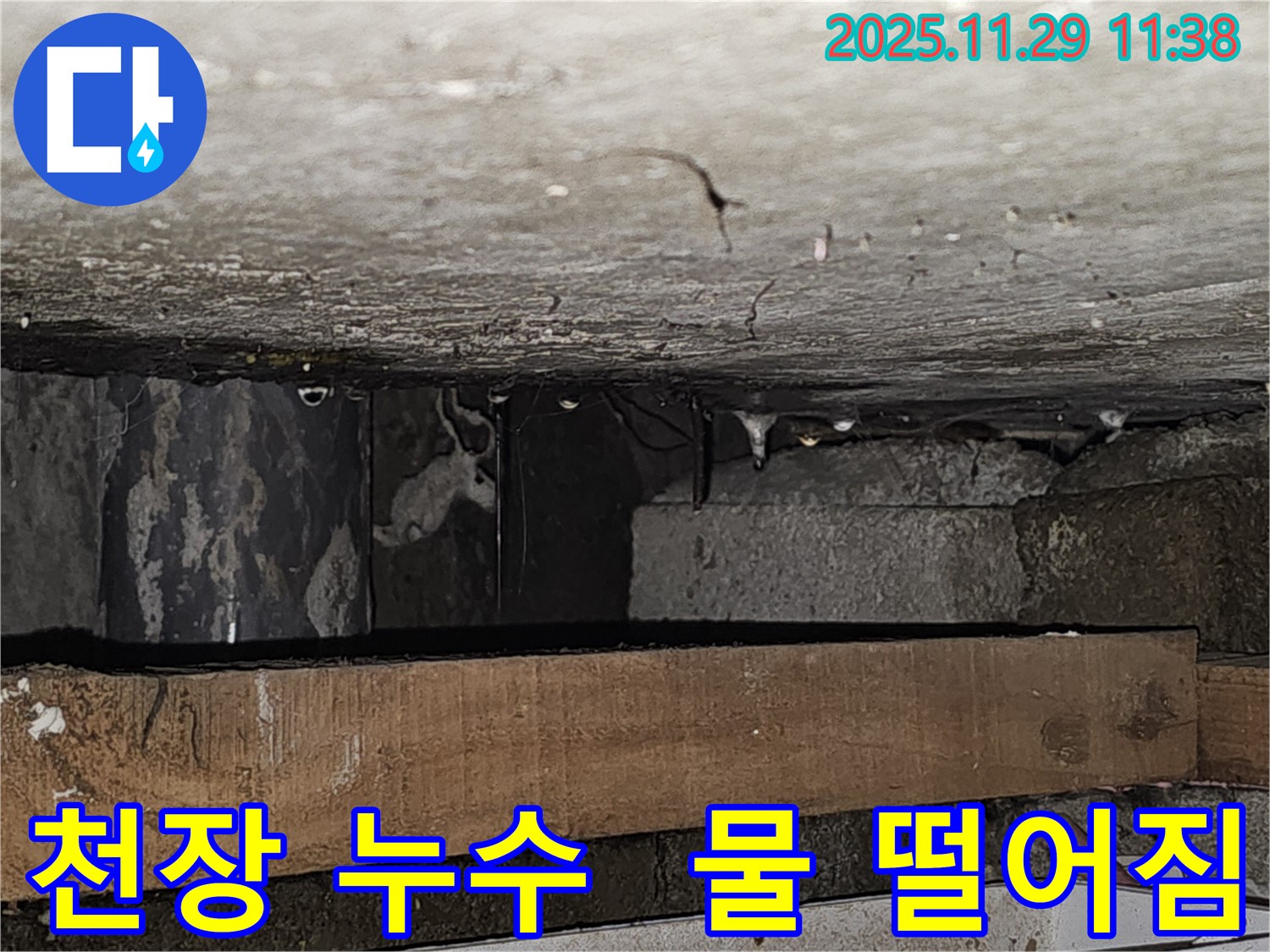 천장에서 물이 떨어지는 모습 - 파주시 누수 전문가