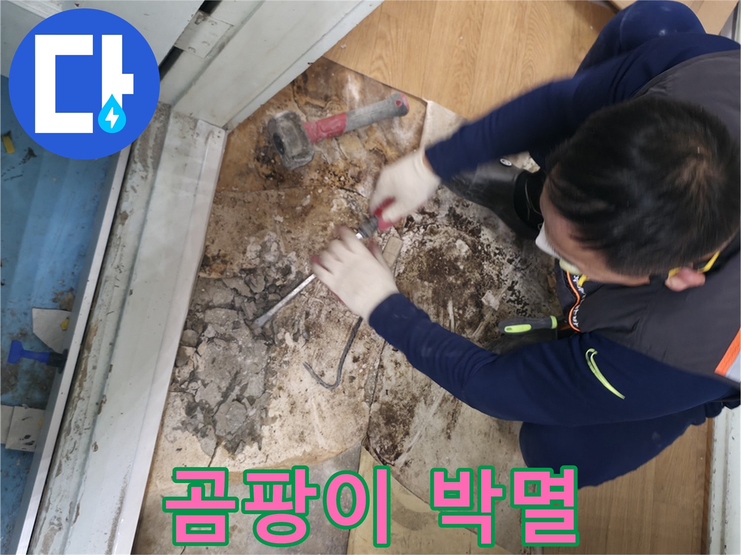 서초구 서초2동 명달로4길 - 망치를 사용하여 곰팡이를 완전 초토화하는 모습입니다.