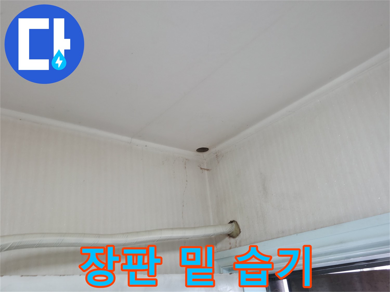 서초2동 341-1 장판 습기 - 숨은 누수 주의!