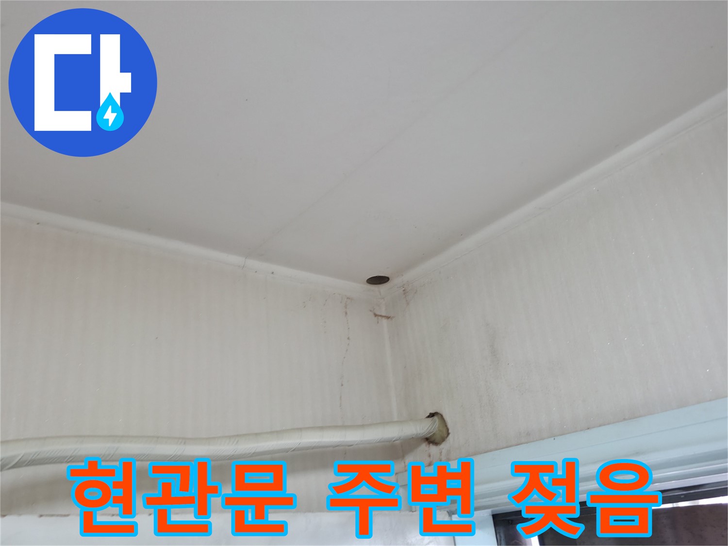 서초2동 341-1 현관 젖음 - 빗물 침투 주의!