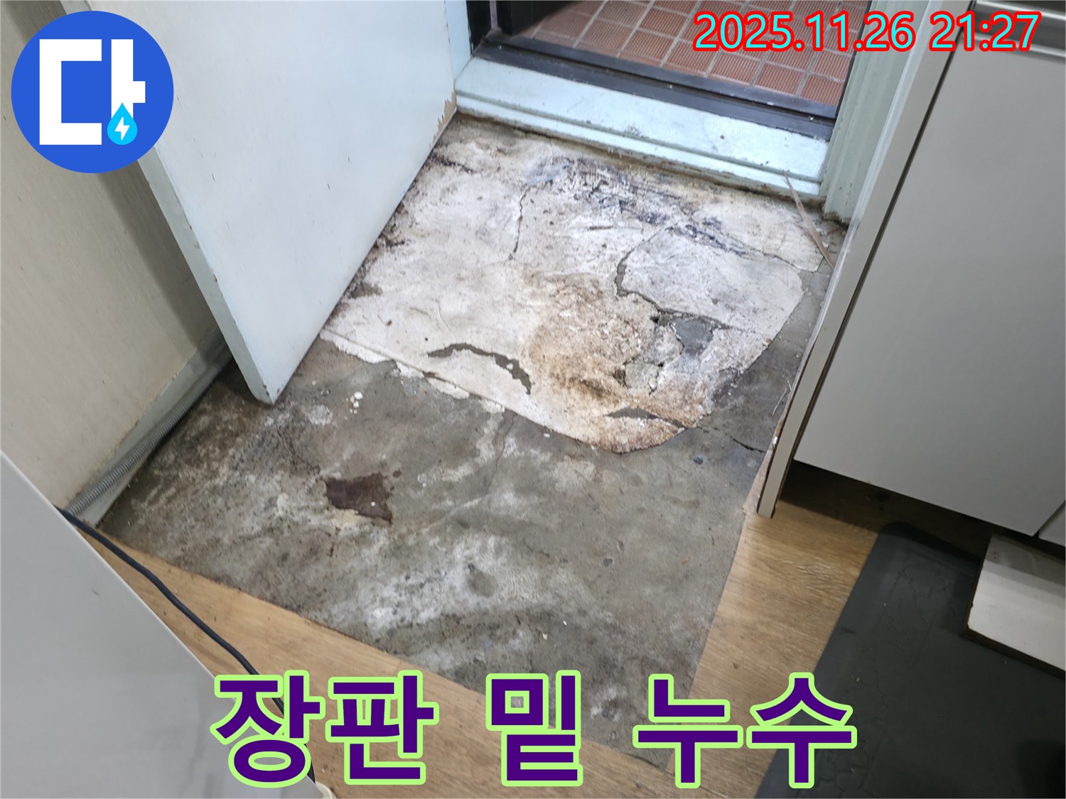 서초2동 뜯겨진 장판 아래 - 숨겨진 누수 발견