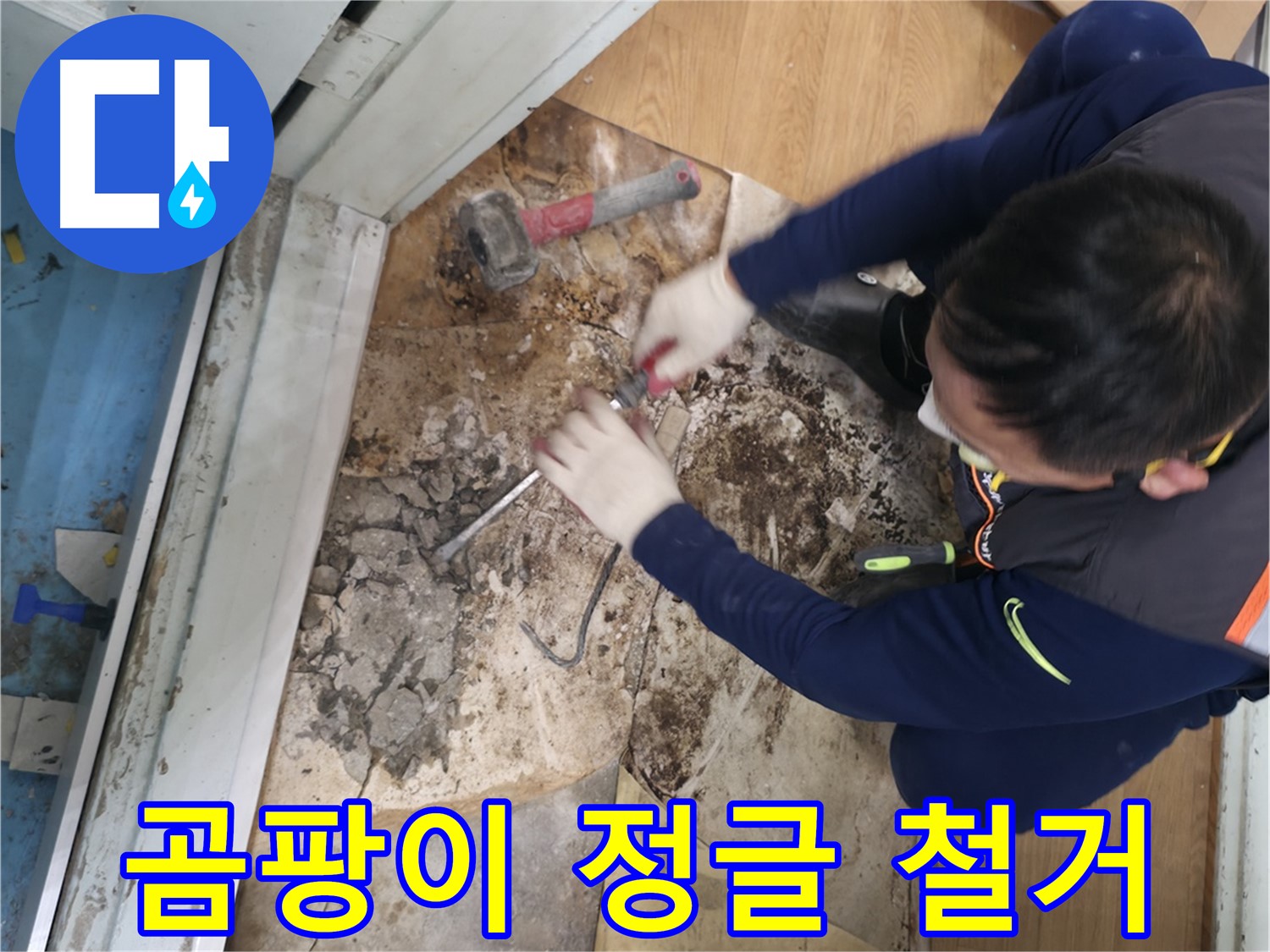 서초구 누수 - 곰팡이 정글 바닥 철거