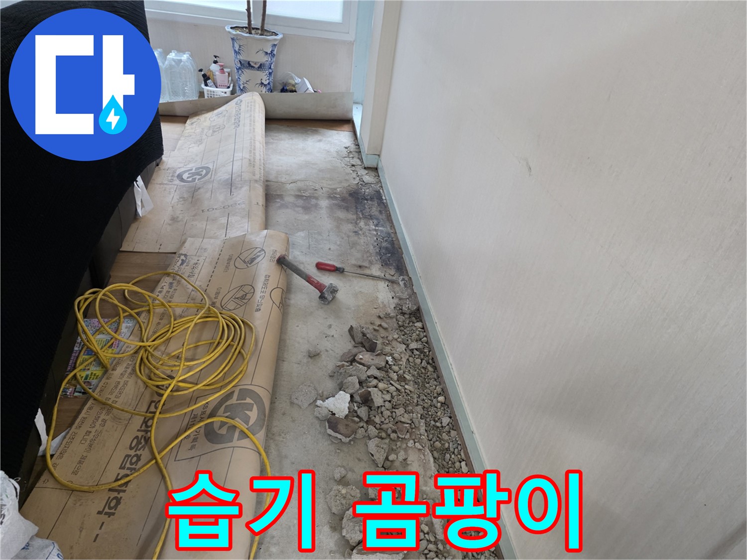 서초구 명달로4길 습기 - 곰팡이와의 전쟁