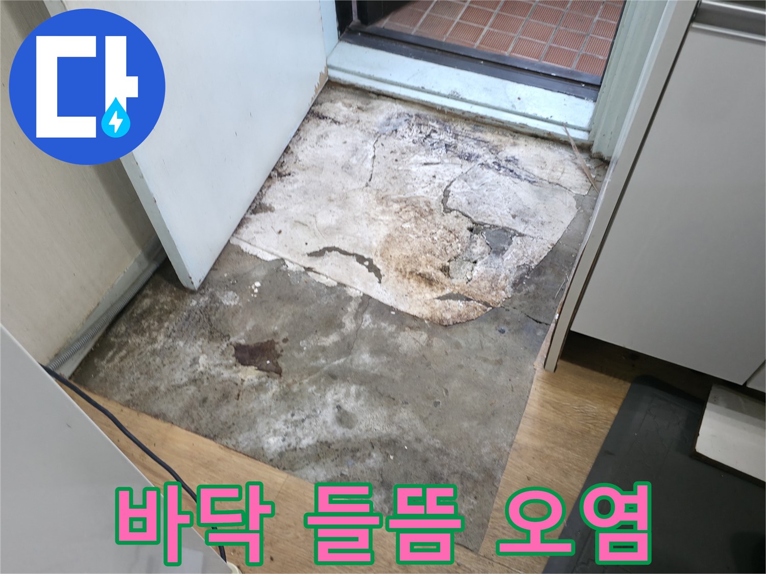 서초구 서초2동 누수 현장 - 들뜨고 오염된 현관 바닥 - 누수 진행 중일 가능성 높음
