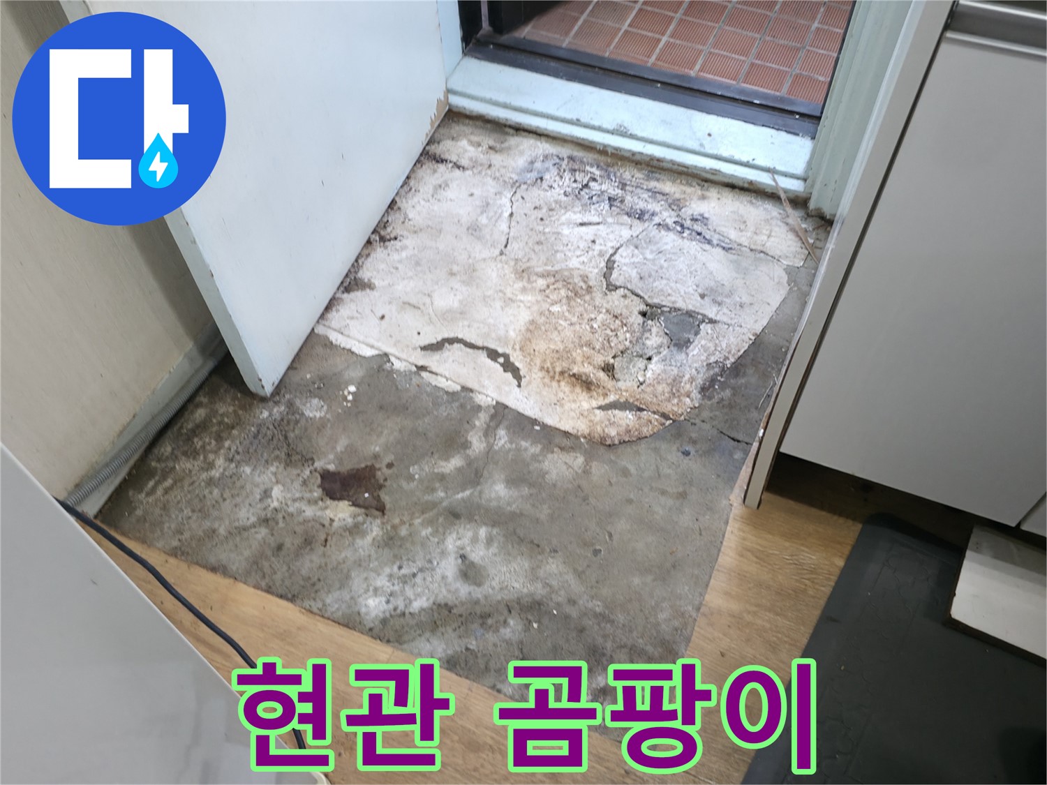 서초동 누수 현장 - 현관 바닥에 핀 곰팡이 - 습한 환경이 지속되고 있음을 의미