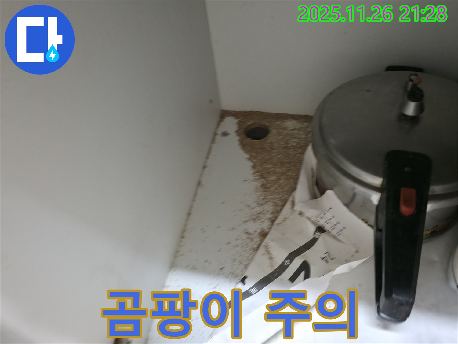 싱크대 하부 - 톱밥 - 곰팡이 주의 - 건강 위협