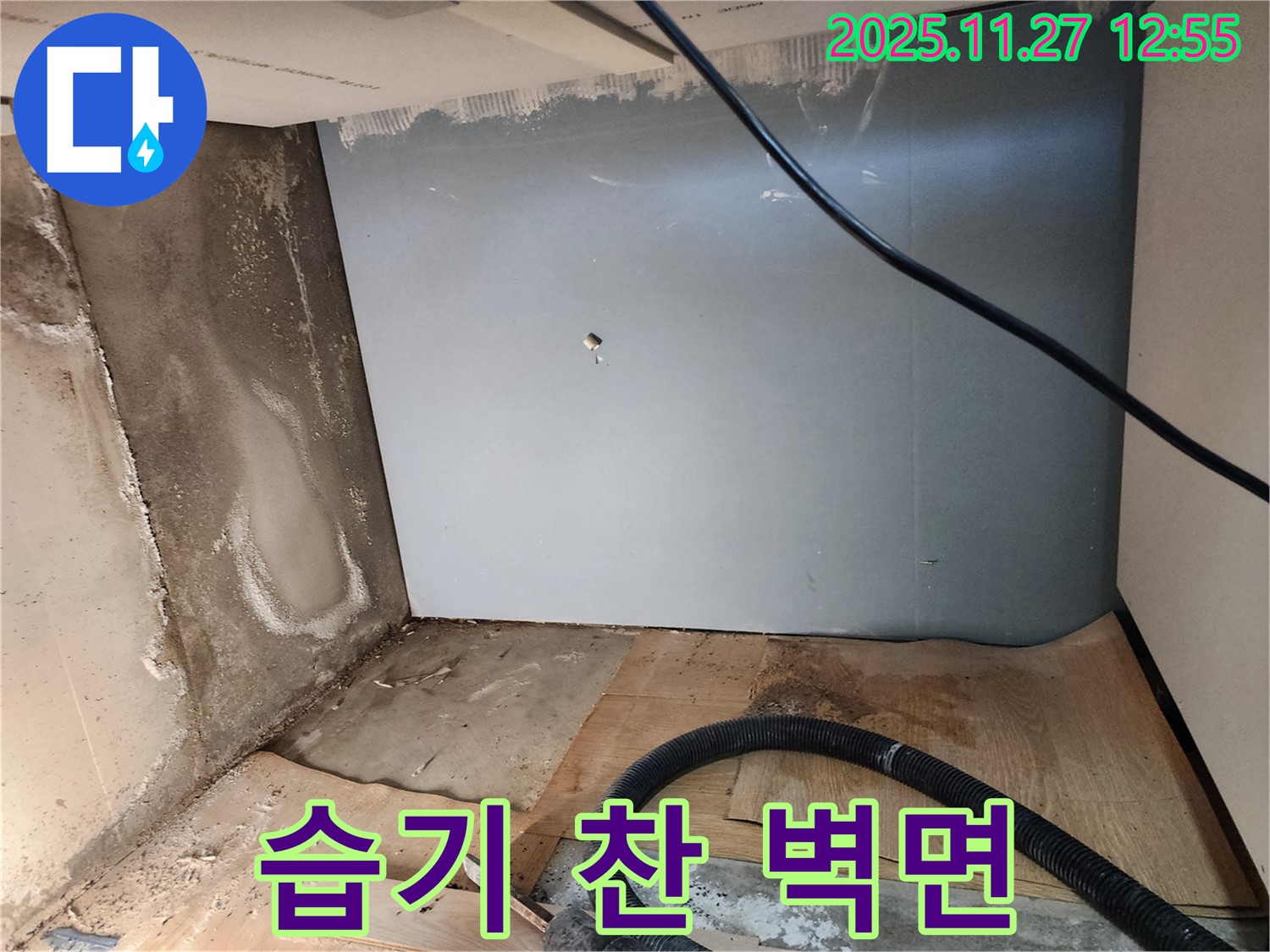 습기 찬 벽면 - 곰팡이 발생 위험 증가