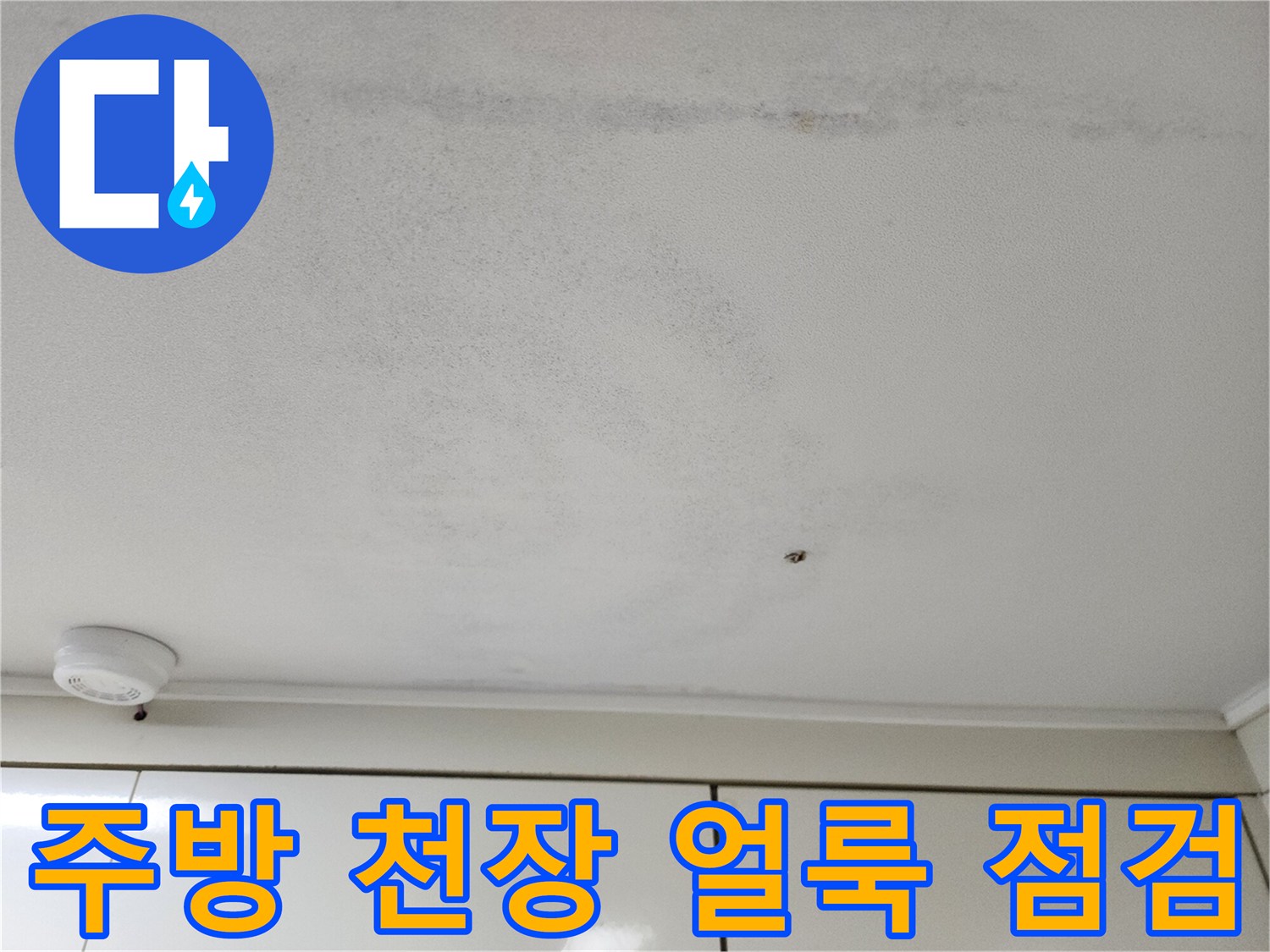 천장-벽면의-습기-및-얼룩-발견-상태