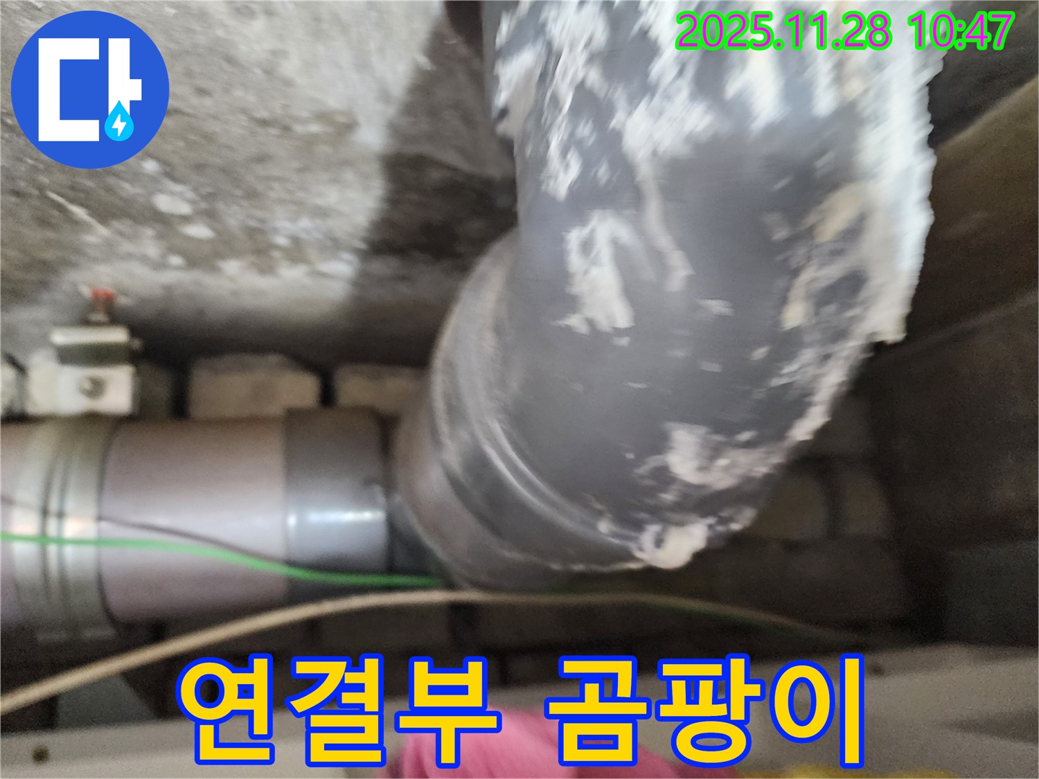 PVC 배관 연결 부위 곰팡이 - 금동리 누수