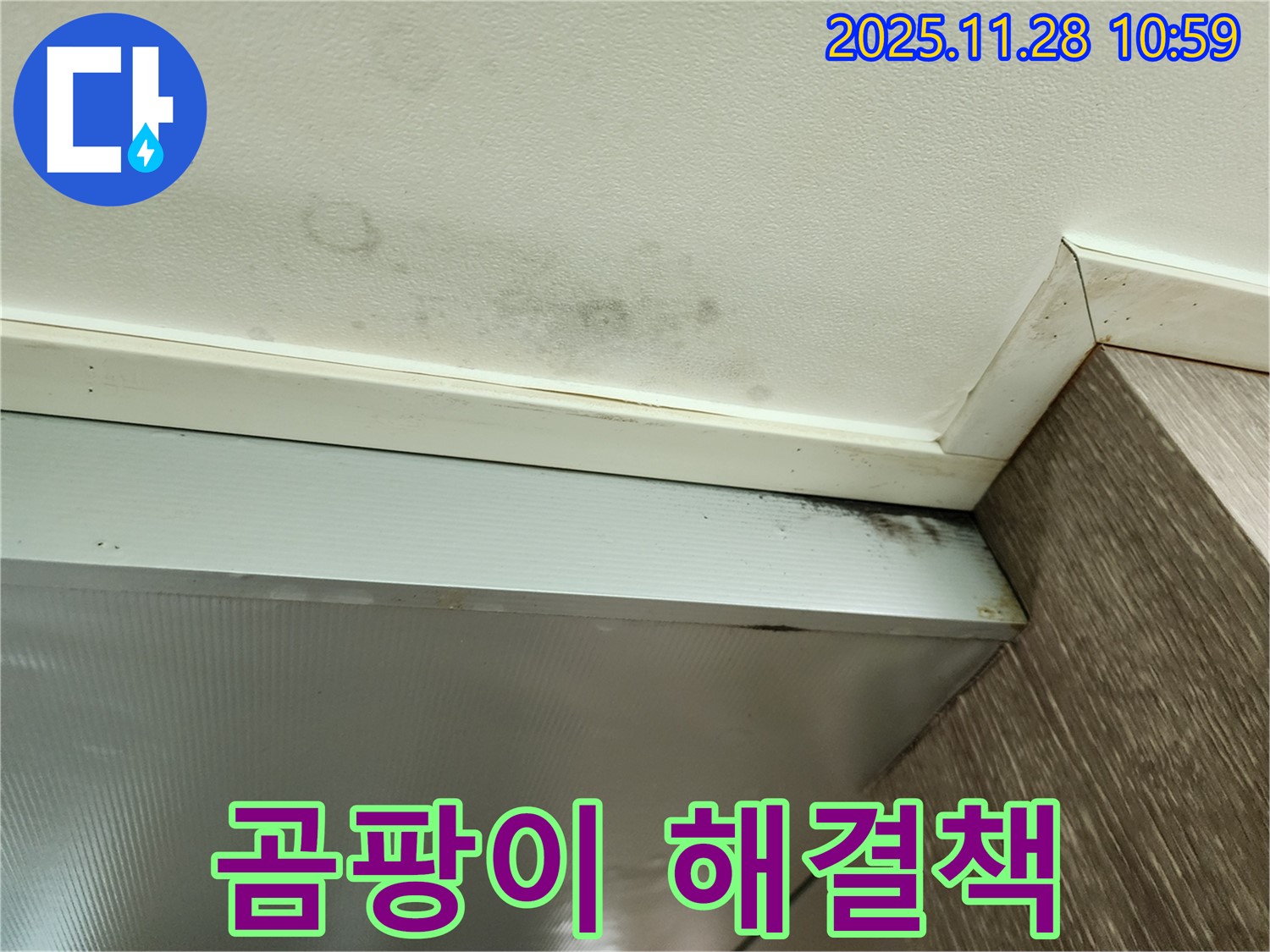 금동리 누수 - 천장 곰팡이 문제 해결 과정