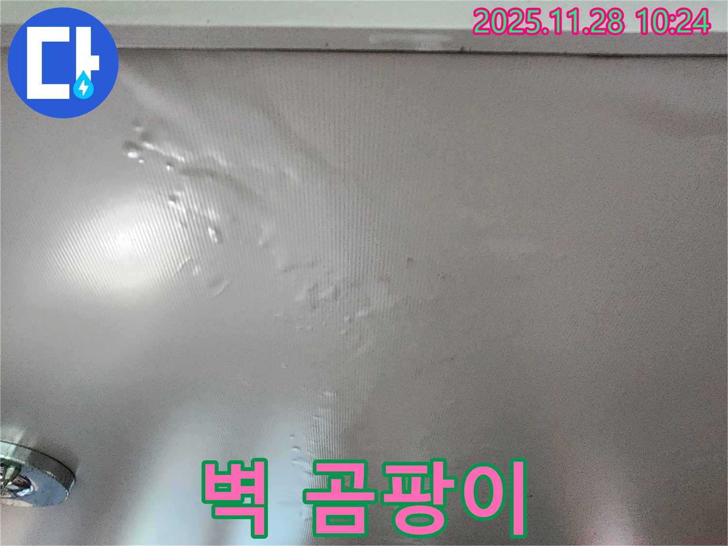 벽에 곰팡이가 심하게 핀 모습입니다.