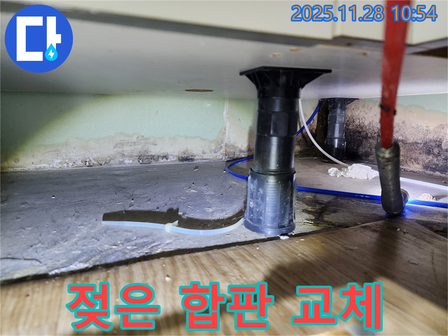 싱크대 하부 젖은 합판 - 곰팡이와 부식