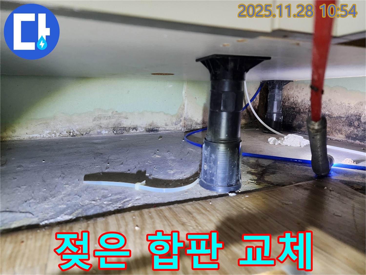 싱크대 하부 젖은 합판 - 곰팡이와 부식
