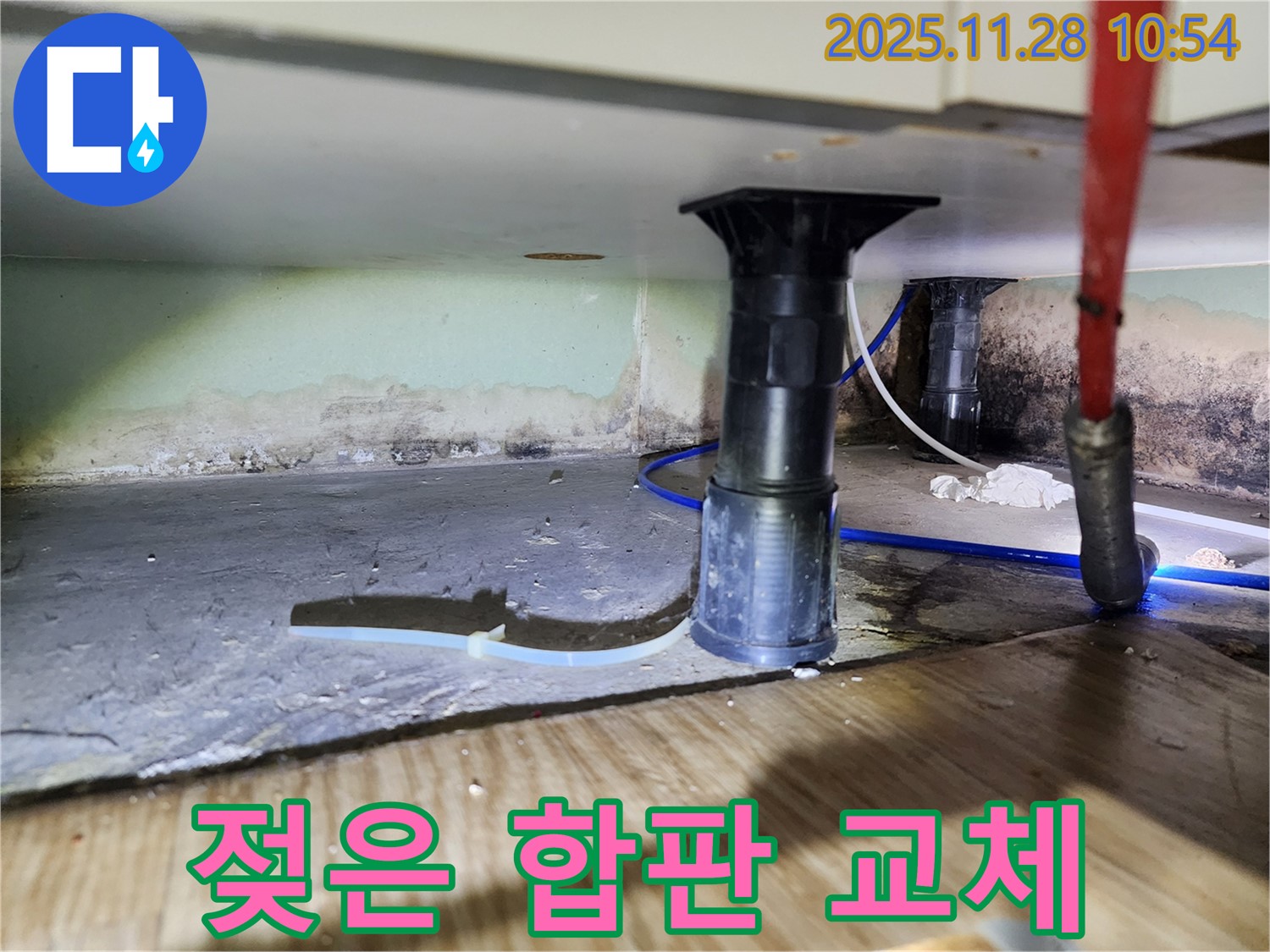싱크대 하부 젖은 합판 - 곰팡이와 부식