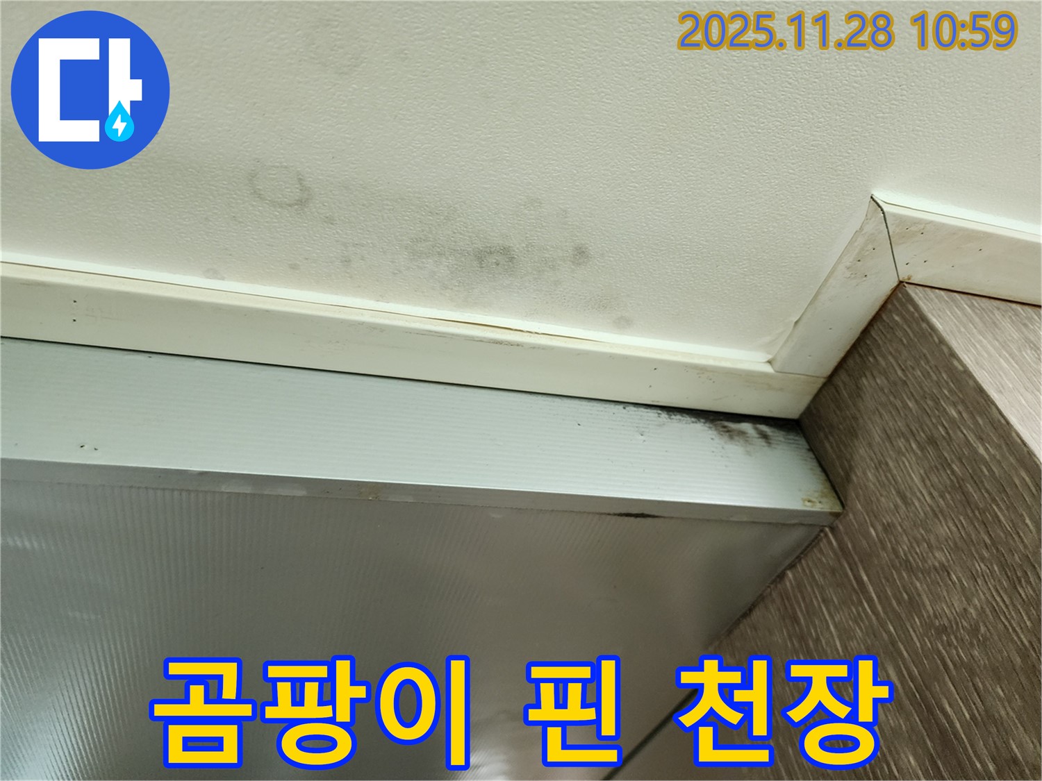 포천 금동리 누수 - 곰팡이 핀 천장