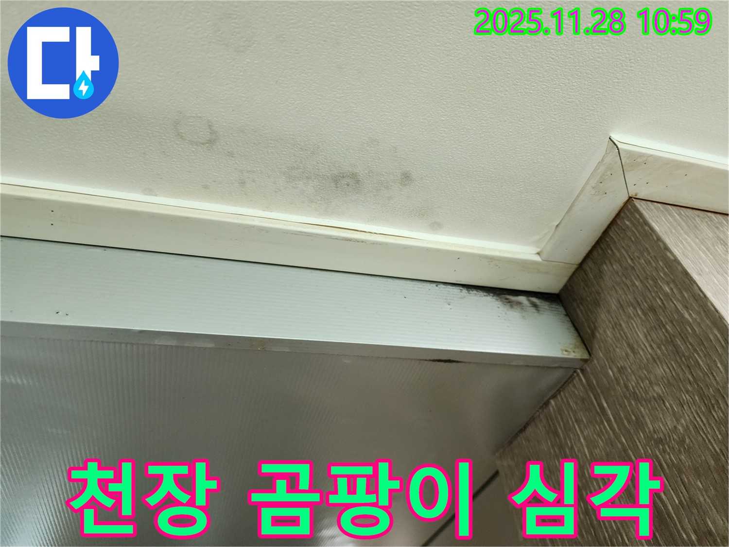 포천 금동리 누수 - 심각한 천장 곰팡이 발생