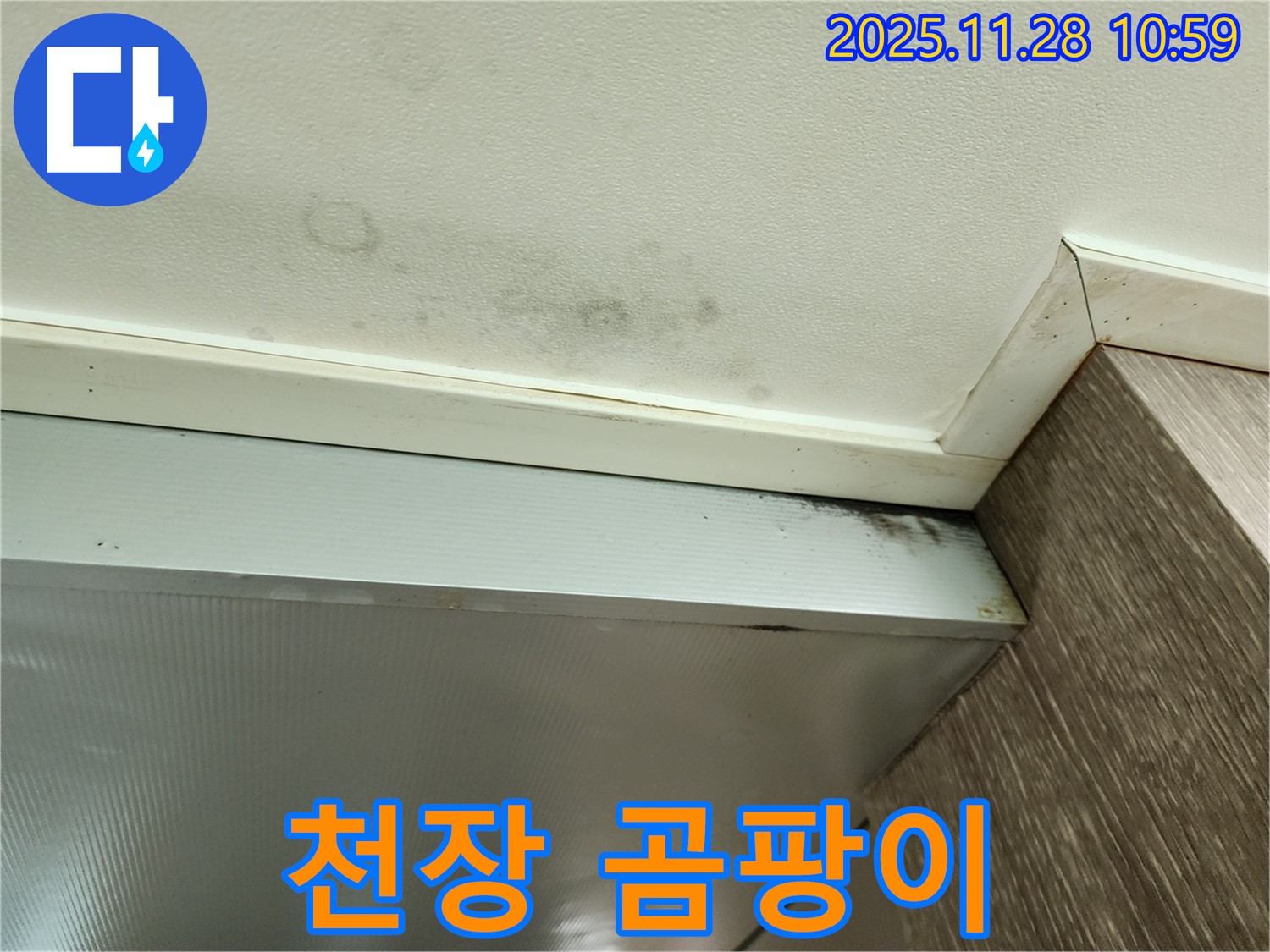 포천 금동리 천장 곰팡이