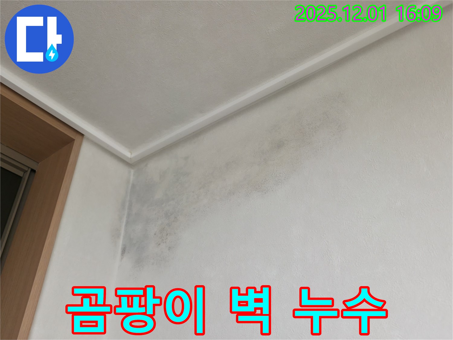 곰팡이 벽 - 숨겨진 누수 - 용인 기흥 누수 해결