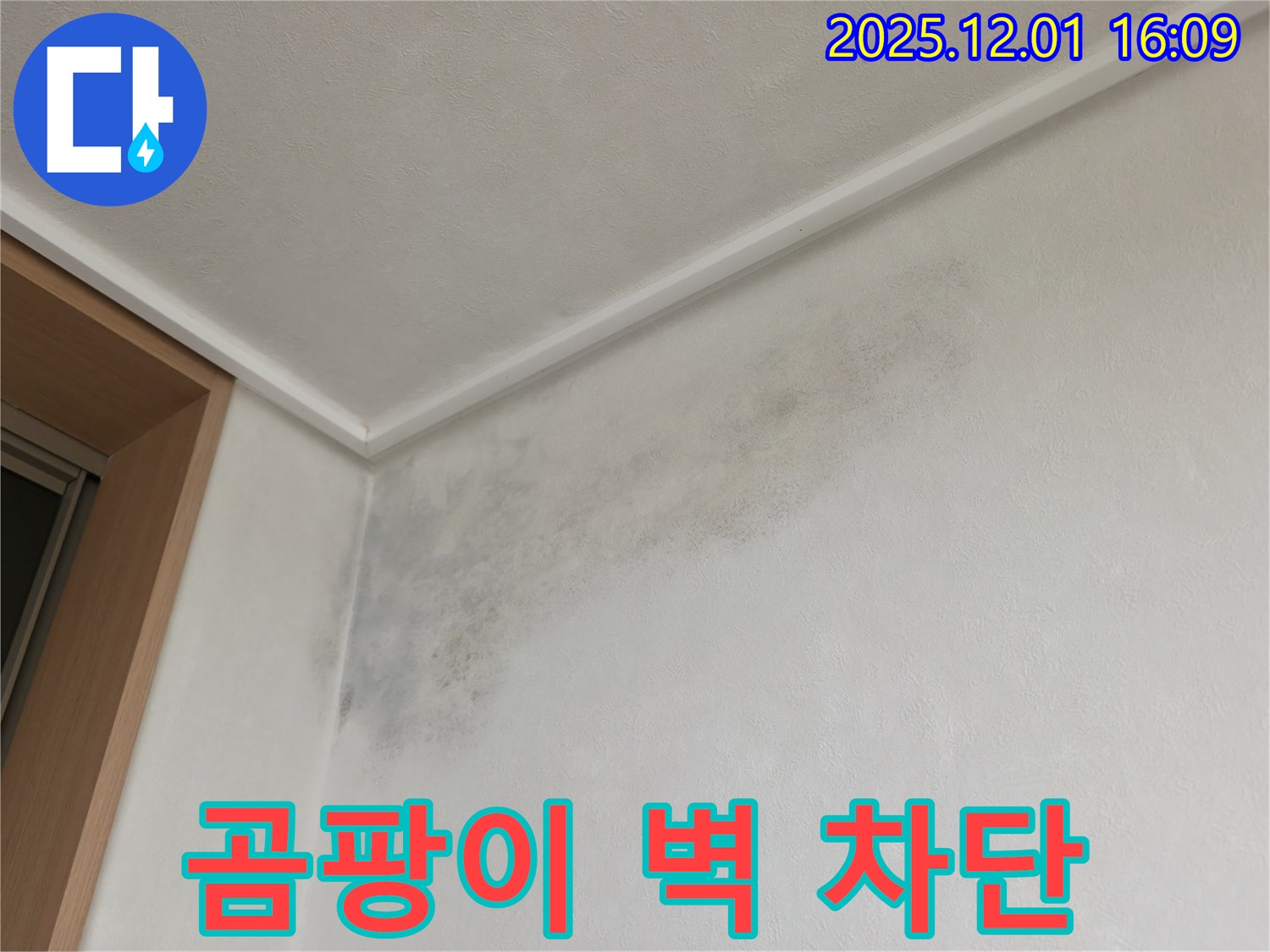 곰팡이 벽 - 완벽 차단 공사 - 용인 기흥 누수