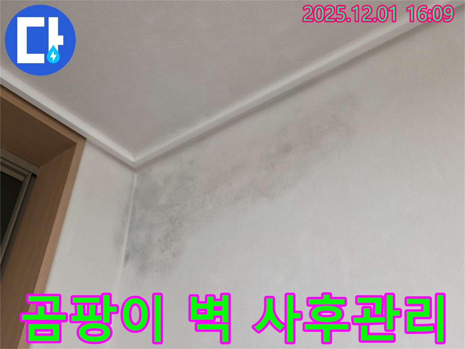 곰팡이 벽 - 완벽한 사후관리 - 용인 기흥 누수