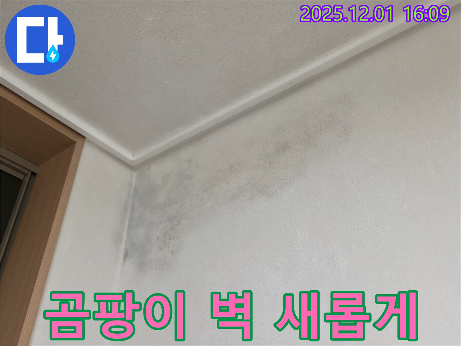 곰팡이 벽 - 전문가의 손길 - 용인 누수탐지