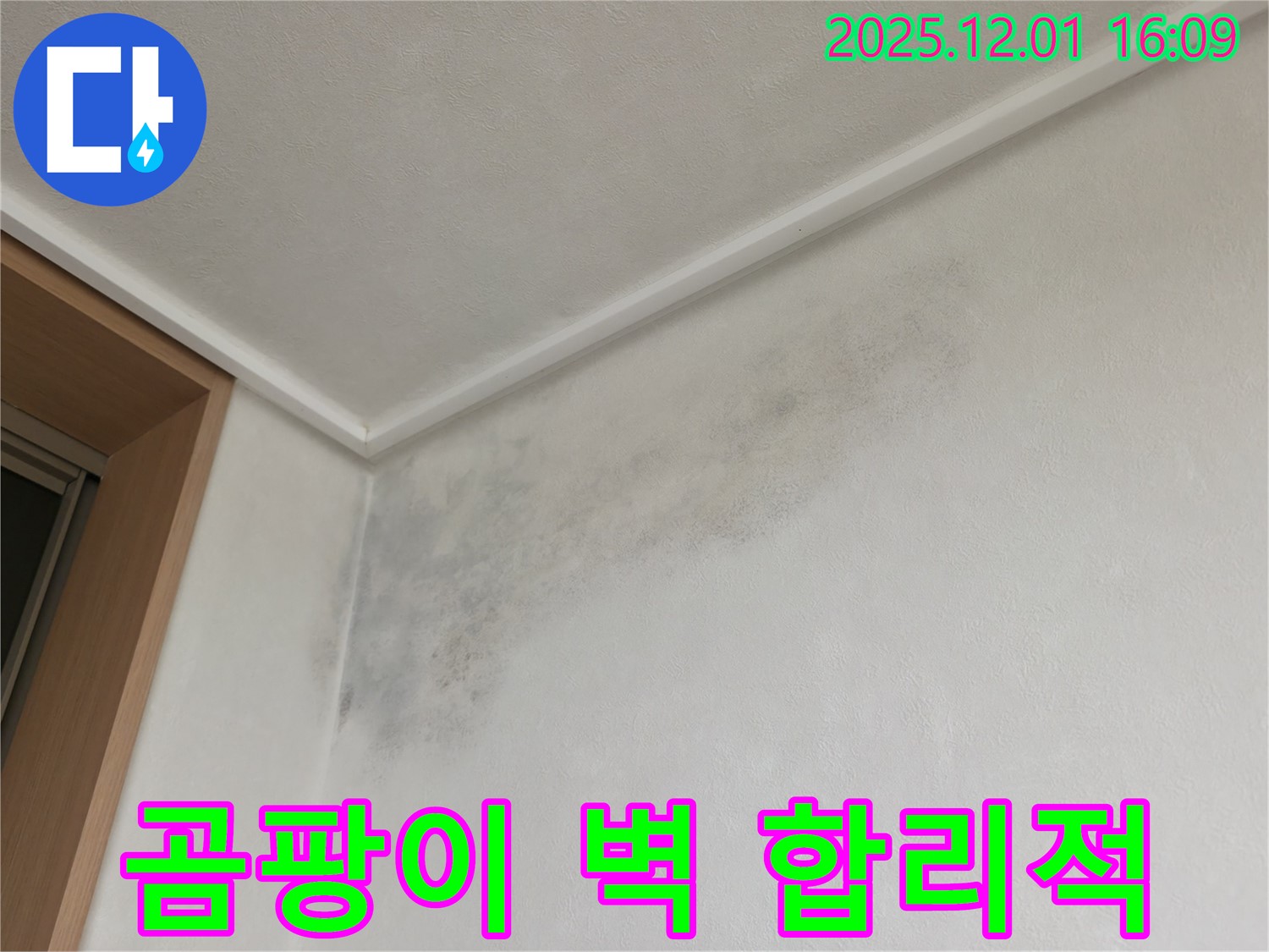 곰팡이 벽 - 합리적인 가격 - 구갈동 누수
