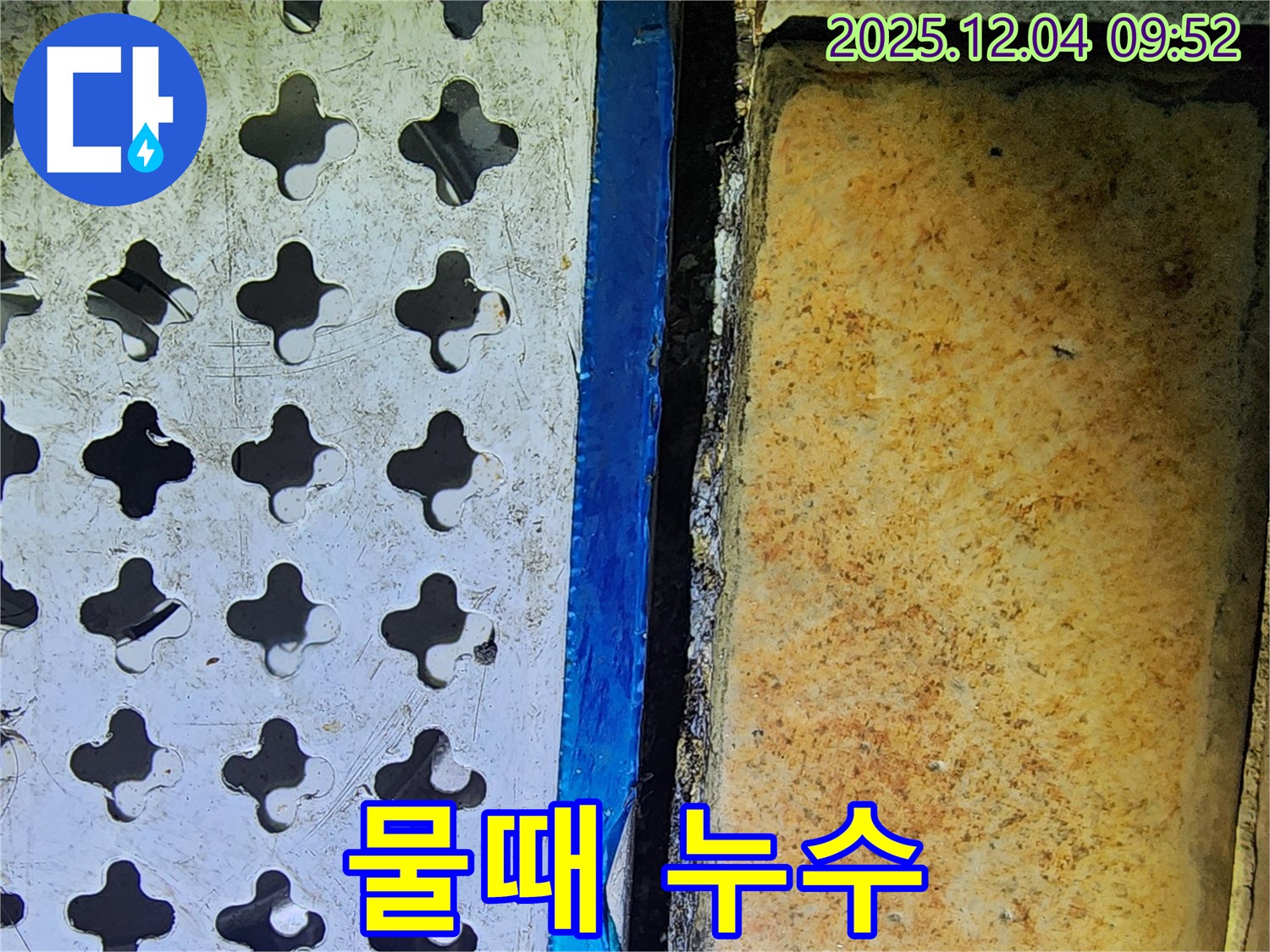배수구 주변 물때 - 지속적인 누수의 증거