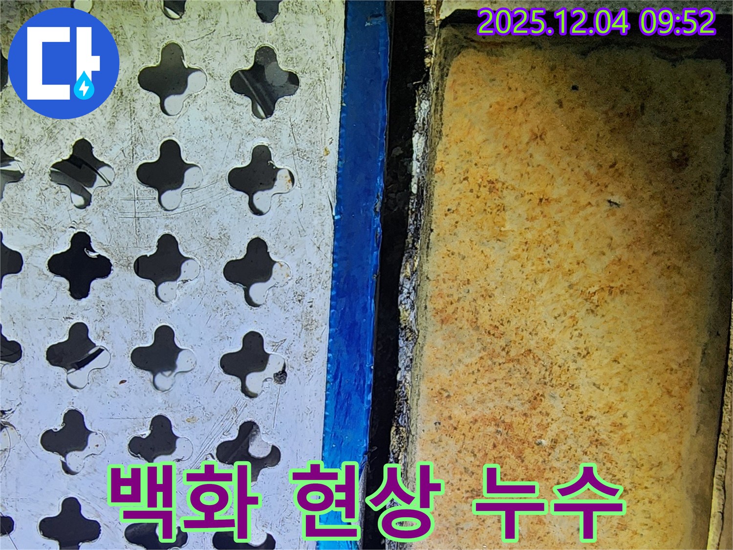 배수구 주변 백화 현상 - 석회질 누수의 증거