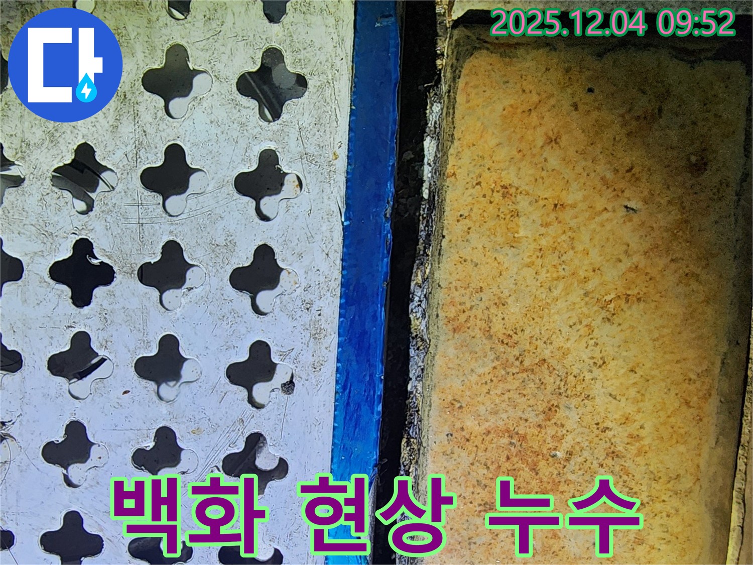 배수구 주변 백화 현상 - 석회질 누수의 증거
