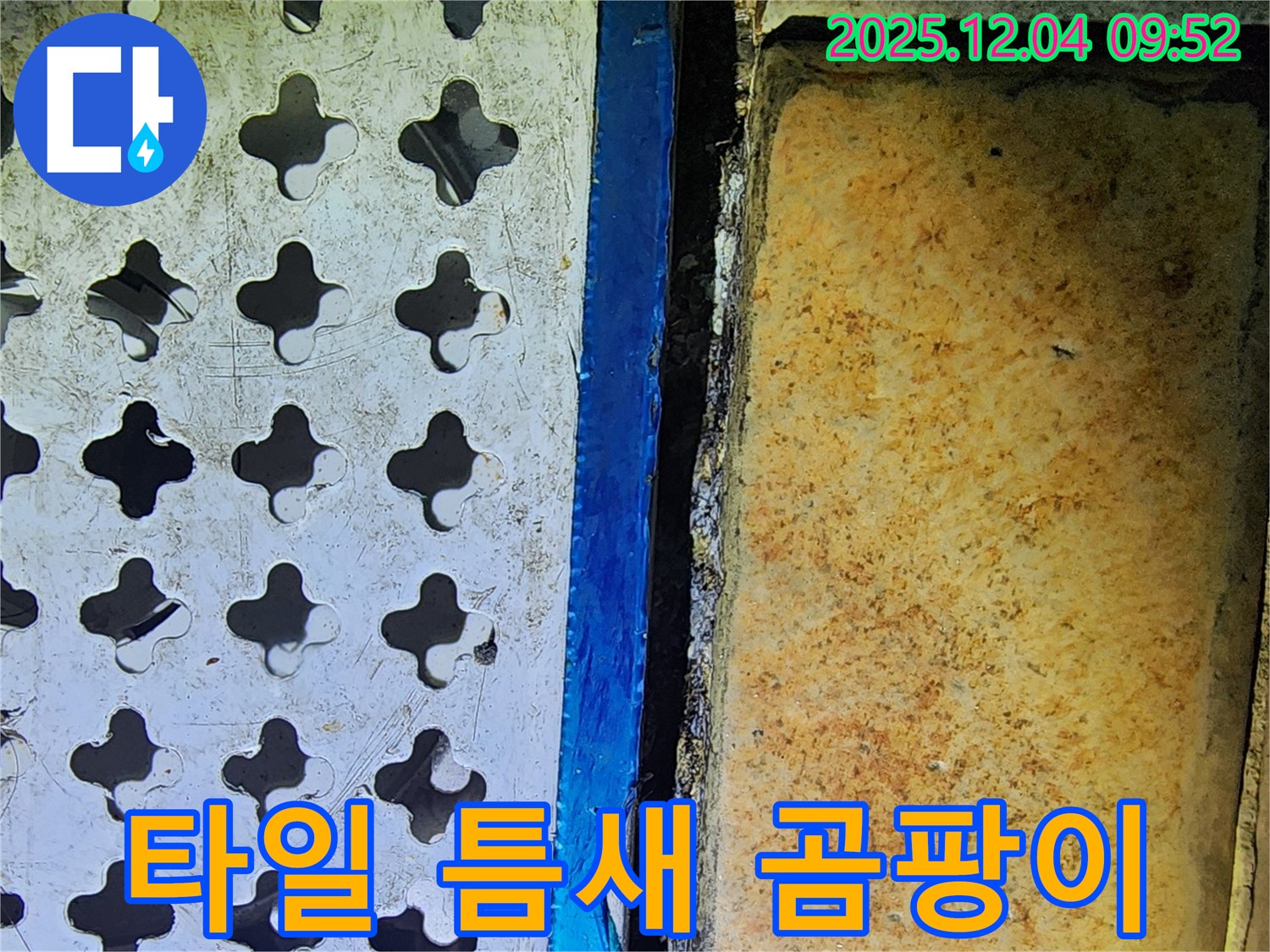 타일 틈새 곰팡이 - 누수로 인한 습기