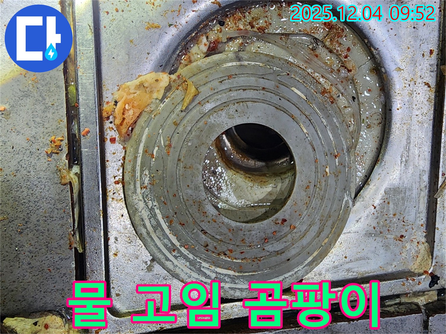 하수구 주변 물 고임 - 곰팡이 주의