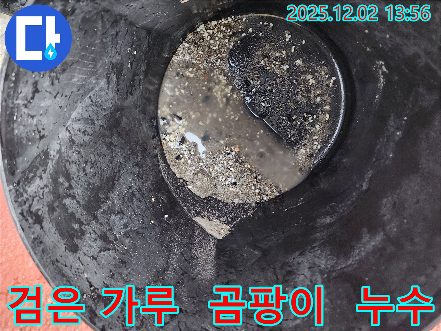양동이 속 검은 가루 - 곰팡이 발생 의심
