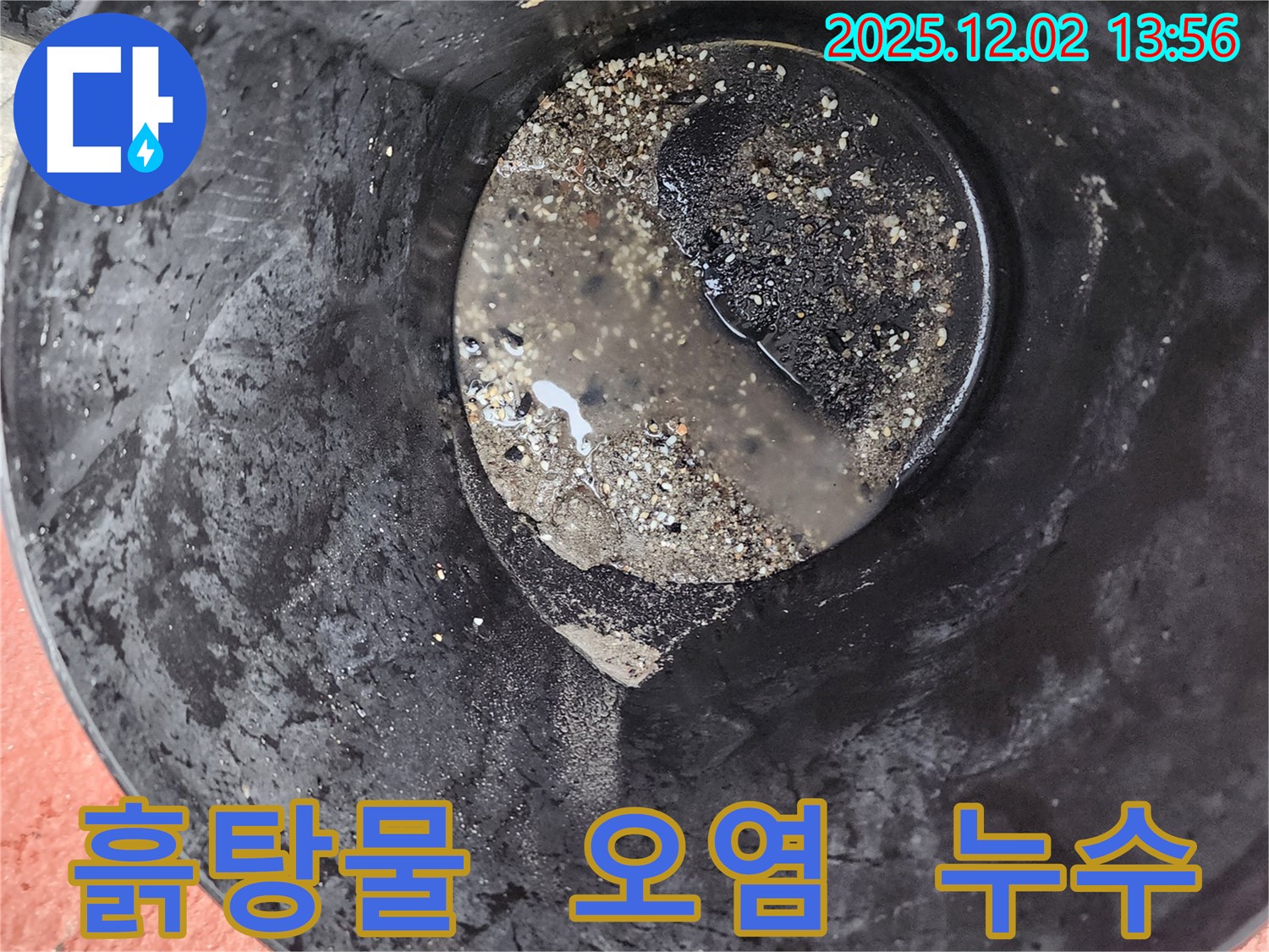 양동이 속 흙탕물 - 외부 오염 의심