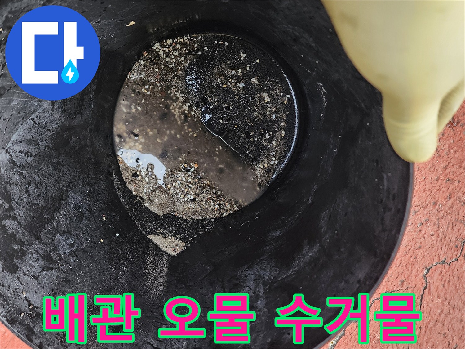 작업 후 양동이에 모인 검은색 배수구 이물질