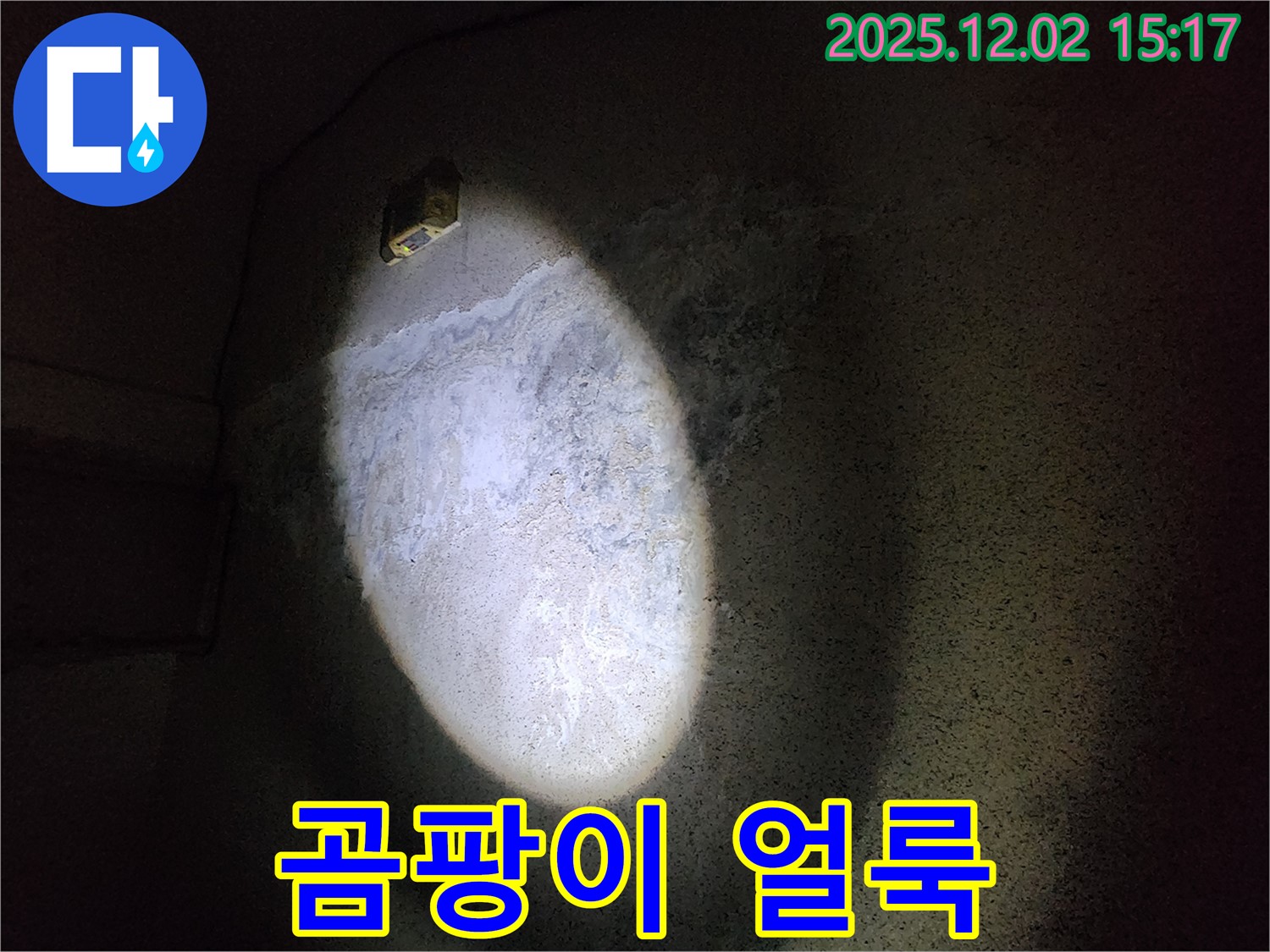 곰팡이 얼룩 - 건강 위협