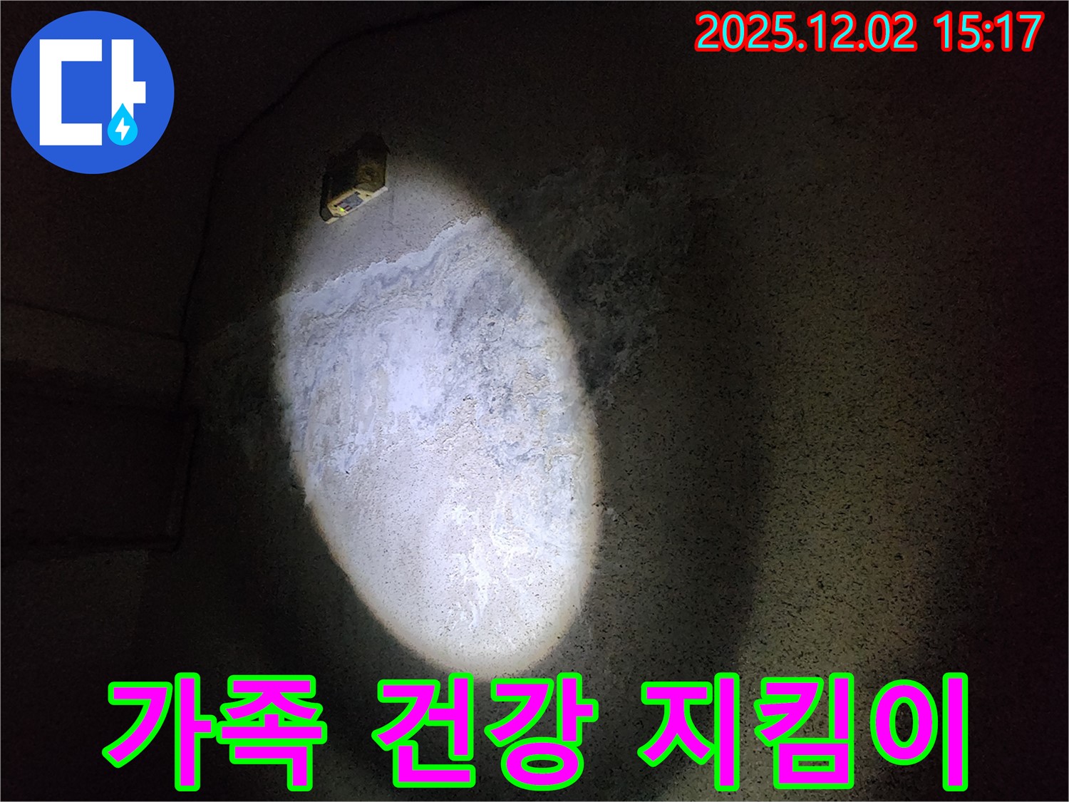 곰팡이 예방 - 가족 건강