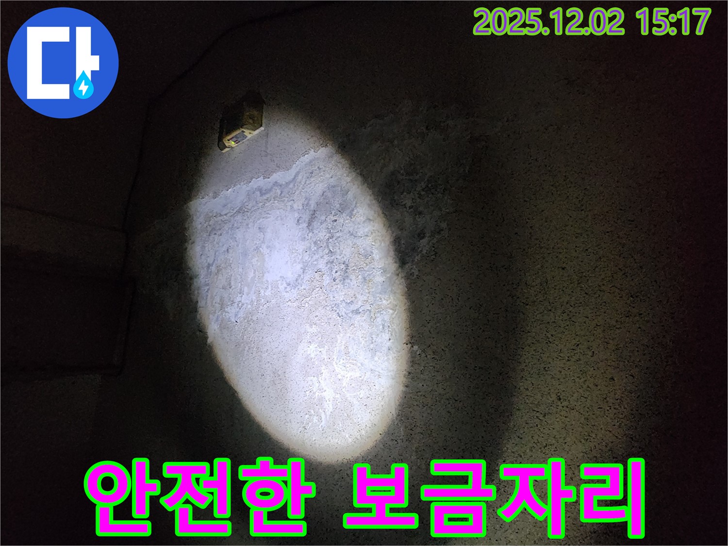 곰팡이 제거 - 안전한 집