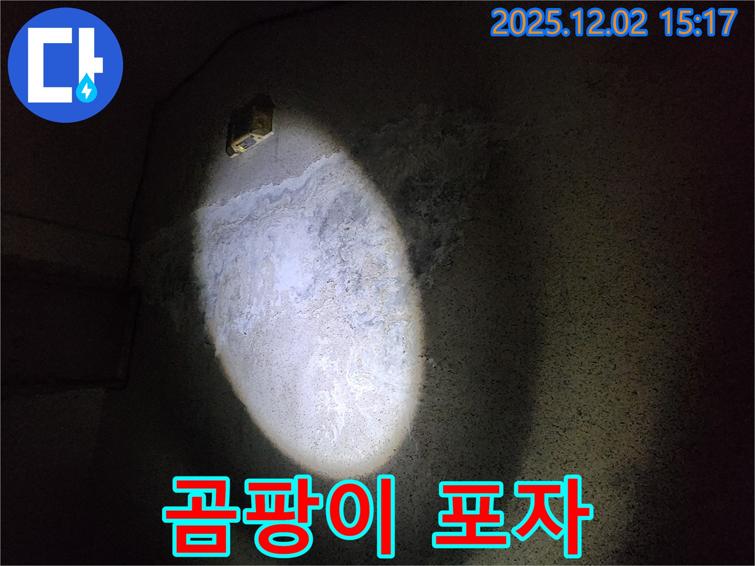 곰팡이 포자 - 호흡기 건강 위협