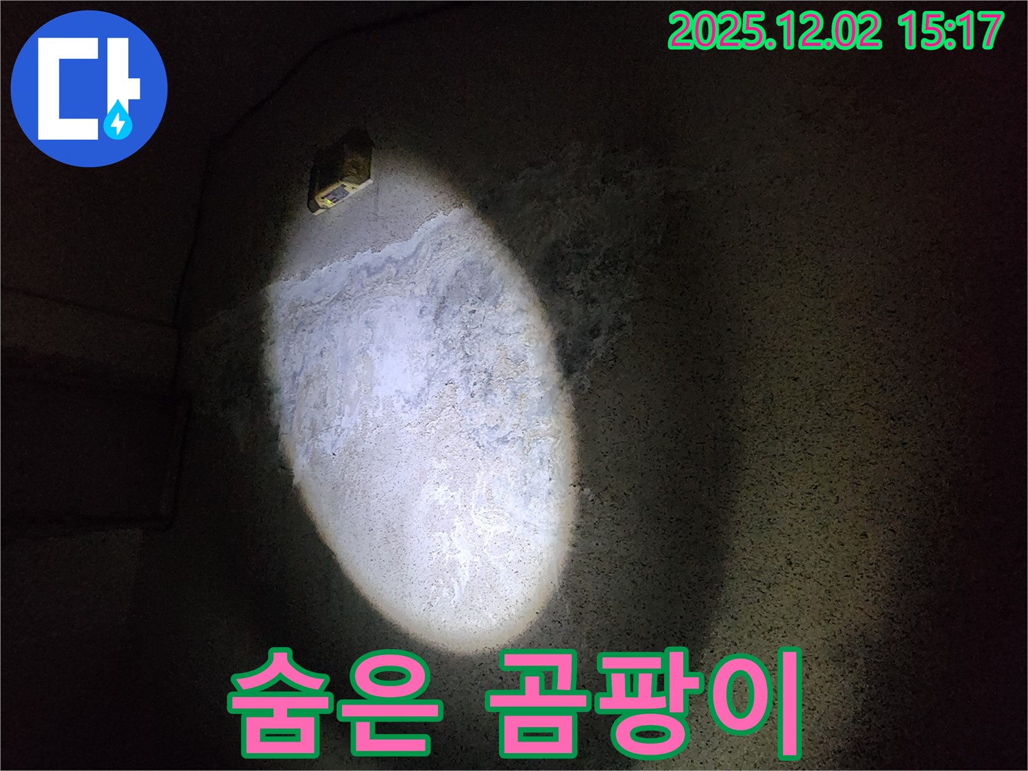 벽 곰팡이 - 건강 적신호