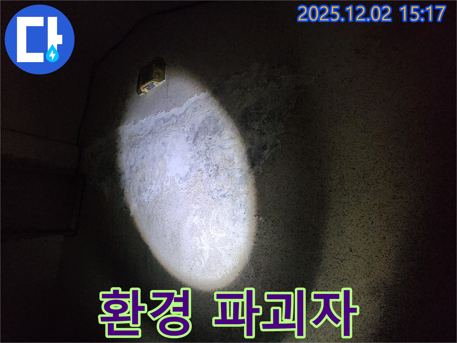 벽 곰팡이 - 환경 파괴