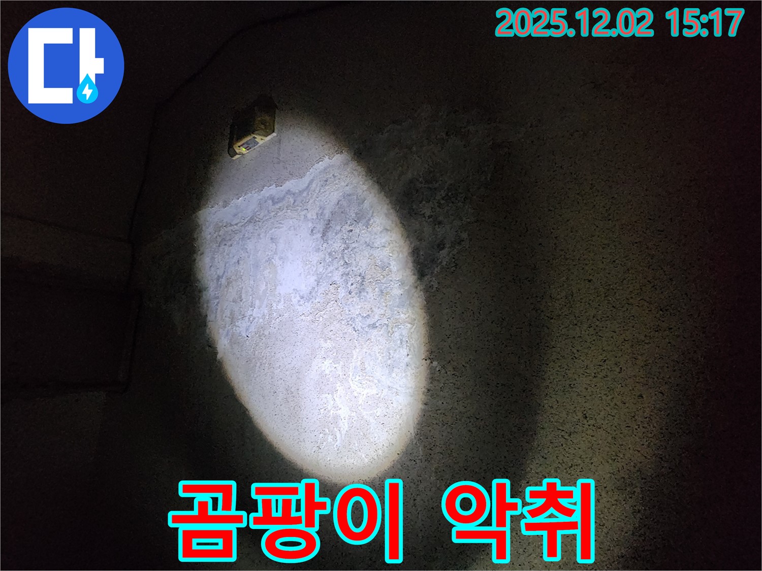 실내 벽 - 불쾌한 동거
