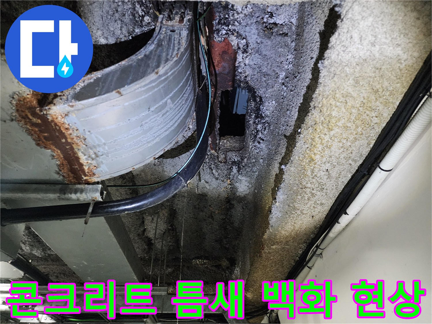 천장-슬래브-틈새-백현-및-습기-침투-확인