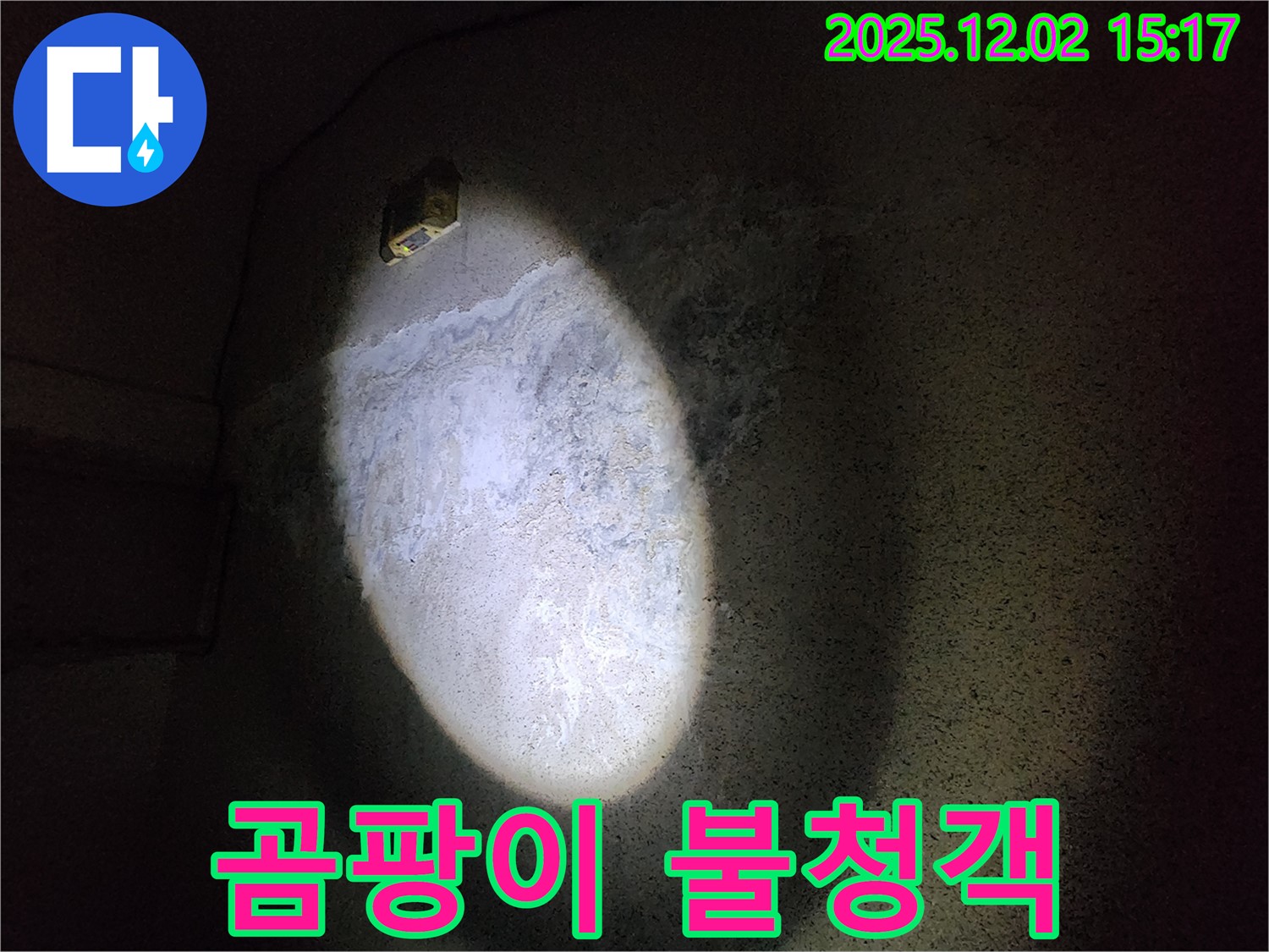 콘크리트 누수 - 곰팡이와 함께