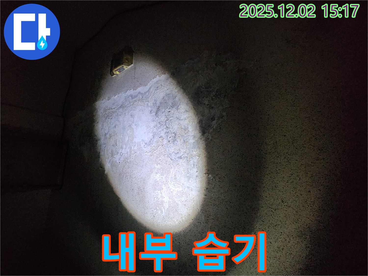 콘크리트 습기 - 곰팡이 번식