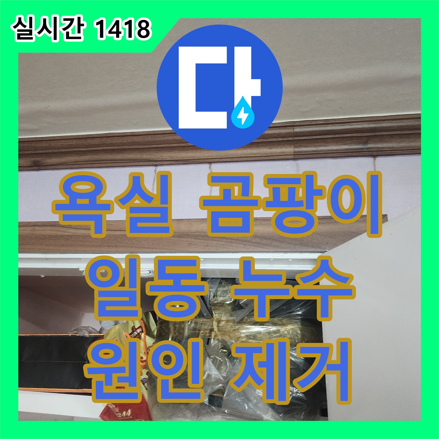 누수전문업체, 일동면 욕실 천장 곰팡이 누수 해결