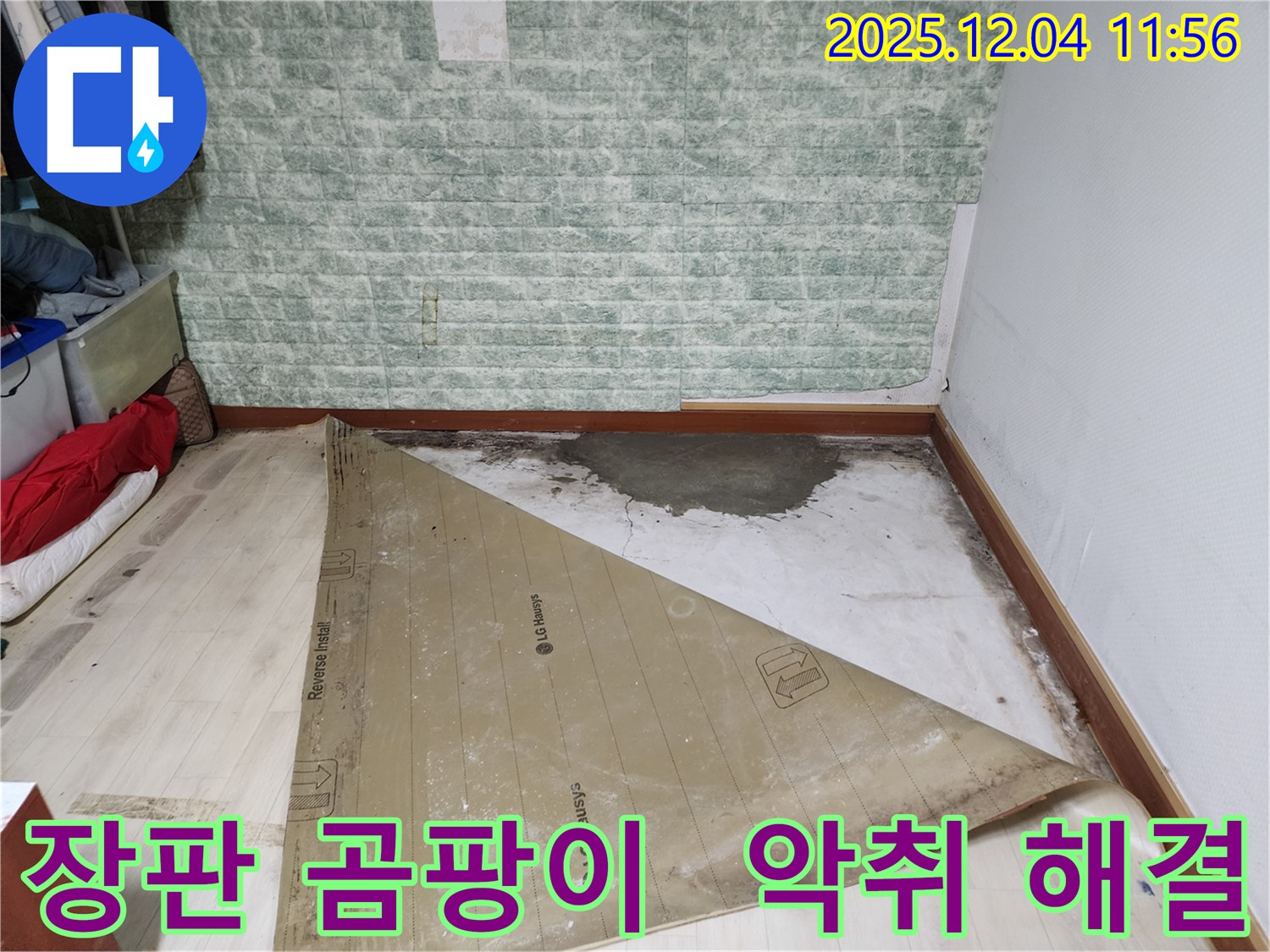 기산리 누수 - 장판 밑 곰팡이와 악취 누수 해결