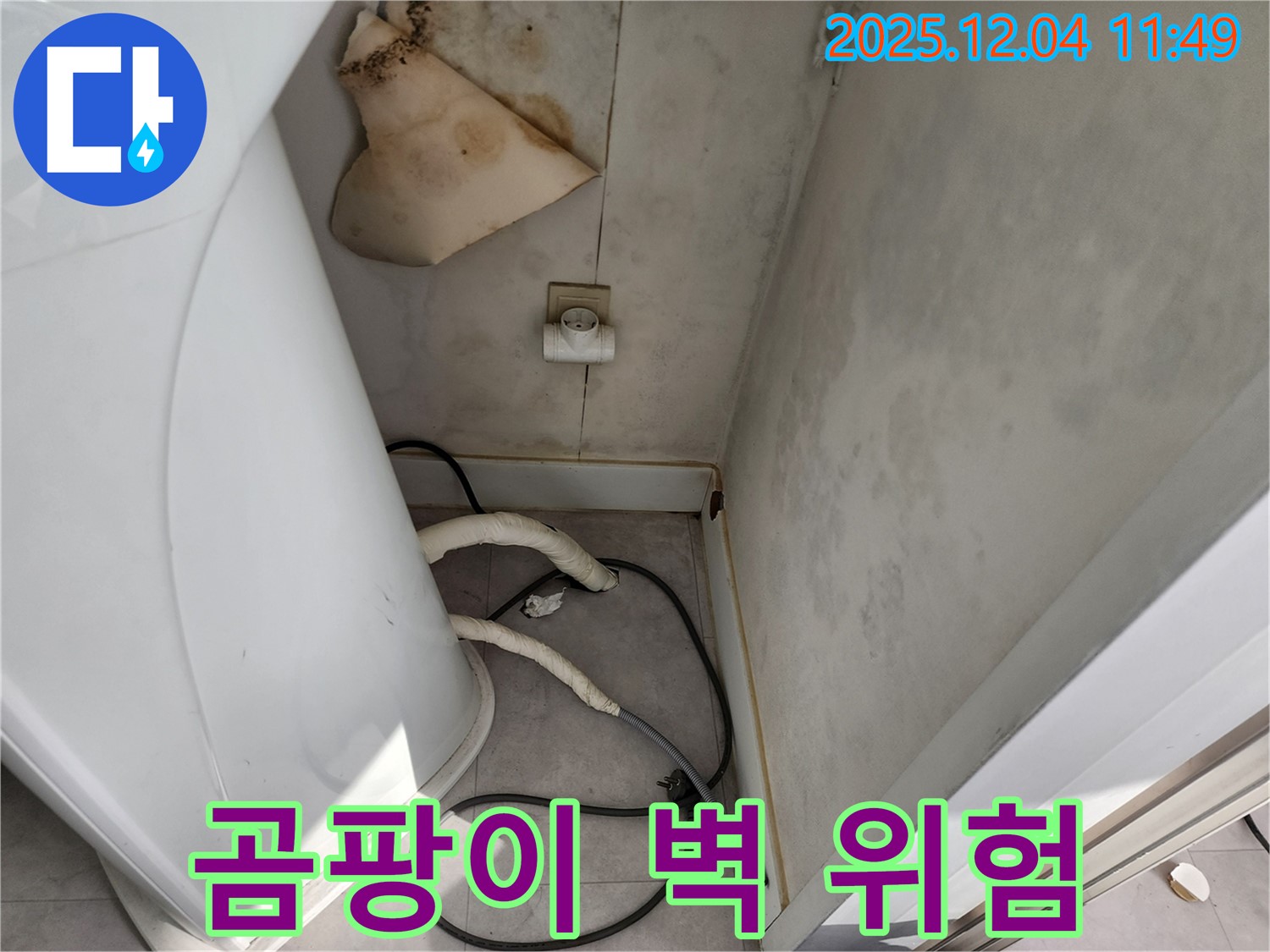 포천 - 곰팡이 핀 벽, 건강 위협