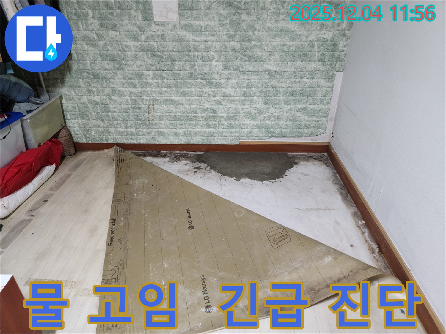 포천시 누수 - 장판 밑 물 고임 긴급 진단